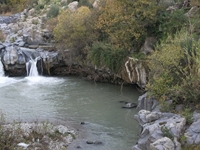 cantara gurne23122011 095